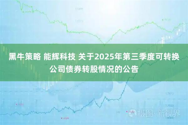 黑牛策略 能辉科技 关于2025年第三季度可转换公司债券转股情况的公告